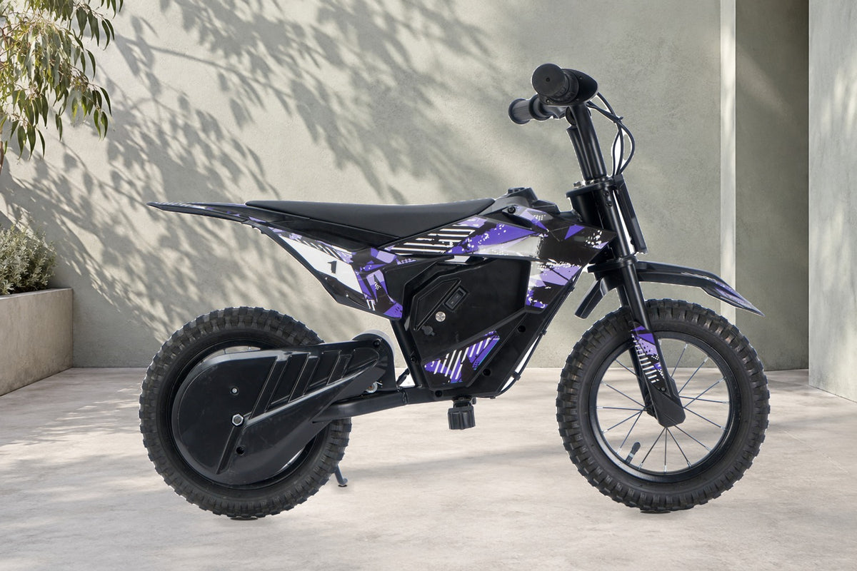 Illustrative campaign image of a purple Bilby bike in a pale architectural setting with leaf shadows.