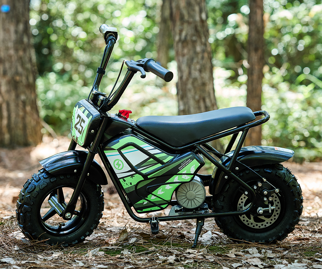Beshare Joey 250 electric dirt bike — product image 2
